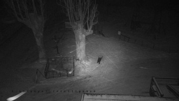 Snímek    22.11.2025 v 20:01