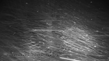 Snímek    23.11.2025 v 00:10