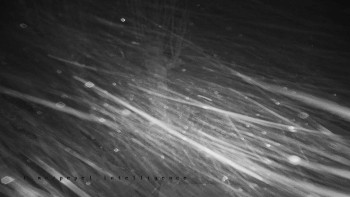 Snímek 23.11.2025 v 01:00