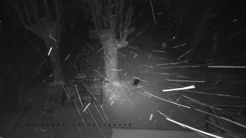 Snímek 23.11.2025 v 05:15