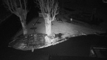 Horský hotel Čarták na Soláni