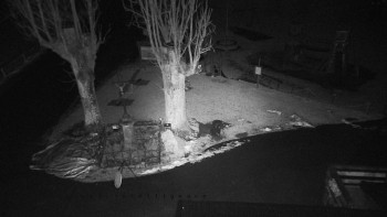 Horský hotel Čarták na Soláni