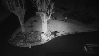 Horský hotel Čarták na Soláni