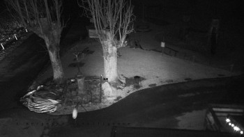 Horský hotel Čarták na Soláni