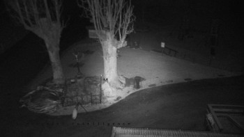 Horský hotel Čarták na Soláni