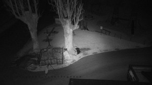 Horský hotel Čarták na Soláni - Pohled na Amfiteatr - 17.12.2025 v 02:55