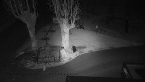 Horský hotel Čarták na Soláni - Pohled na Amfiteatr - 17.12.2025 v 05:55