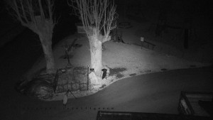 Horský hotel Čarták na Soláni - Pohled na Amfiteatr - 23.12.2025 v 00:55