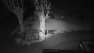 Horský hotel Čarták na Soláni - Pohled na Amfiteatr - 23.12.2025 v 02:55