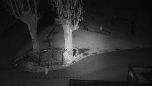 Horský hotel Čarták na Soláni - Pohled na Amfiteatr - 23.12.2025 v 03:55