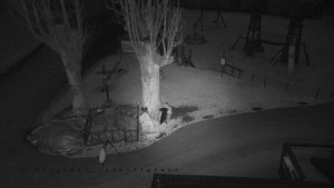 Horský hotel Čarták na Soláni - Pohled na Amfiteatr - 23.12.2025 v 06:55