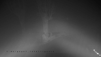 Horský hotel Čarták na Soláni