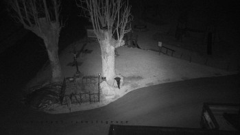 Horský hotel Čarták na Soláni