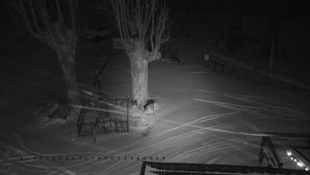 Horský hotel Čarták na Soláni