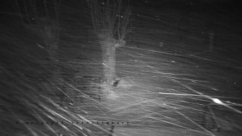 Horský hotel Čarták na Soláni