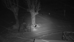 Horský hotel Čarták na Soláni - Pohled na Amfiteatr - 1.1.2026 v 02:55