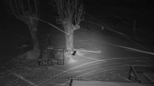 Horský hotel Čarták na Soláni - Pohled na Amfiteatr - 1.1.2026 v 04:55