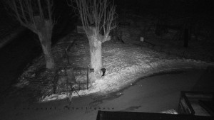 Horský hotel Čarták na Soláni - Pohled na Amfiteatr - 22.1.2026 v 04:00 Horský hotel Čarták na Soláni - Pohled na Amfiteatr - 22.1.2026 v 04:00