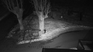 Horský hotel Čarták na Soláni - Pohled na Amfiteatr - 22.1.2026 v 05:00 Horský hotel Čarták na Soláni - Pohled na Amfiteatr - 22.1.2026 v 05:00