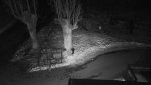 Horský hotel Čarták na Soláni - Pohled na Amfiteatr - 22.1.2026 v 23:00 Horský hotel Čarták na Soláni - Pohled na Amfiteatr - 22.1.2026 v 23:00