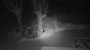 Horský hotel Čarták na Soláni - Pohled na Amfiteatr - 19.2.2026 v 01:55