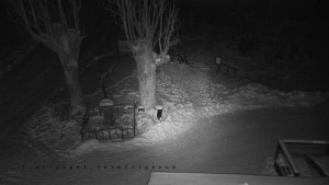 Horský hotel Čarták na Soláni - Pohled na Amfiteatr - 19.2.2026 v 03:55