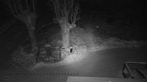 Horský hotel Čarták na Soláni - Pohled na Amfiteatr - 19.2.2026 v 04:55