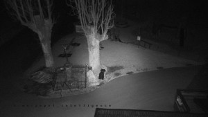 Horský hotel Čarták na Soláni - Pohled na Amfiteatr - 17.3.2026 v 00:55