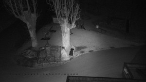 Horský hotel Čarták na Soláni - Pohled na Amfiteatr - 17.3.2026 v 01:55