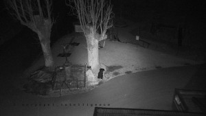 Horský hotel Čarták na Soláni - Pohled na Amfiteatr - 17.3.2026 v 02:55