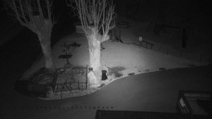 Horský hotel Čarták na Soláni - Pohled na Amfiteatr - 23.3.2026 v 02:55