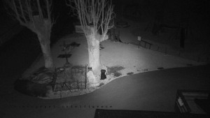 Horský hotel Čarták na Soláni - Pohled na Amfiteatr - 23.3.2026 v 03:55