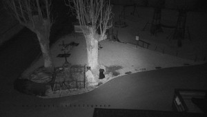 Horský hotel Čarták na Soláni - Pohled na Amfiteatr - 23.3.2026 v 04:55