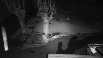 Horský hotel Čarták na Soláni