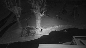 Horský hotel Čarták na Soláni - Pohled na Amfiteatr - 1.4.2026 v 03:55