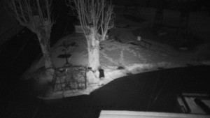 Horský hotel Čarták na Soláni - Pohled na Amfiteatr - 1.4.2026 v 20:05