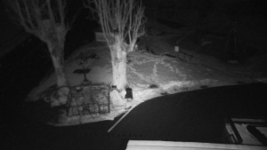 Horský hotel Čarták na Soláni - Pohled na Amfiteatr - 1.4.2026 v 20:55