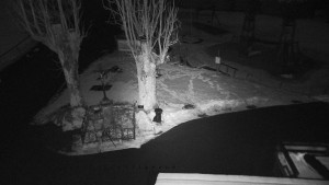 Horský hotel Čarták na Soláni - Pohled na Amfiteatr - 1.4.2026 v 21:55