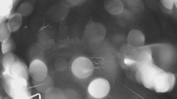 Snímek    27.10.2025 v 18:00