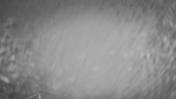 Snímek    9.11.2025 v 03:00