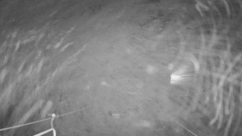 Snímek    12.11.2025 v 03:00