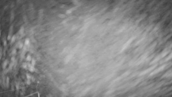 Snímek 12.11.2025 v 04:00