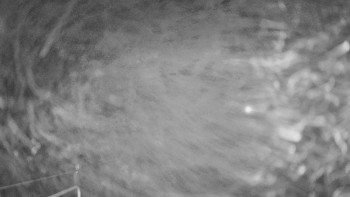 Snímek    12.11.2025 v 05:00