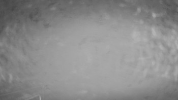 Snímek 13.11.2025 v 04:00