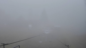 Snímek 13.11.2025 v 11:30