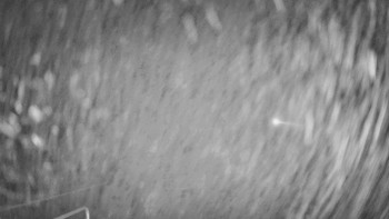 Snímek    13.11.2025 v 19:30