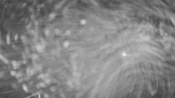 Snímek    13.11.2025 v 20:00