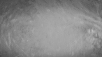 Snímek    14.11.2025 v 21:30