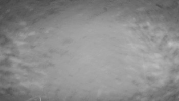 Snímek 15.11.2025 v 04:00