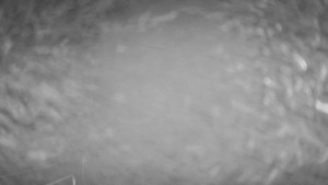 Snow park Paprsek - Nástup na lanovku - 17.11.2025 v 02:30 Snow park Paprsek - Nástup na lanovku - 17.11.2025 v 02:30